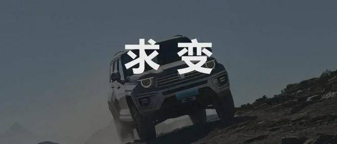 同行都越卖越亏，长城为何利润大涨？