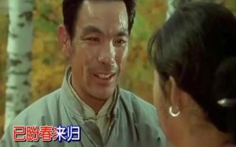 贾跃亭：归心似箭，盼回家过年！ 