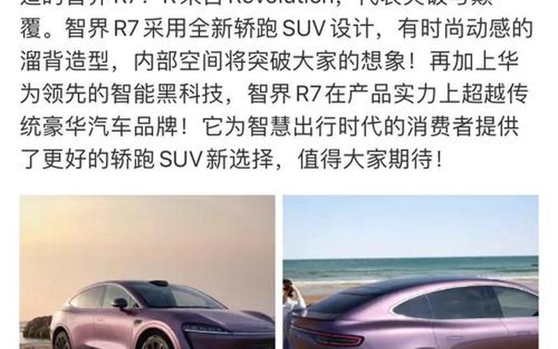 奇瑞高管- 特斯拉智驾超国产两年